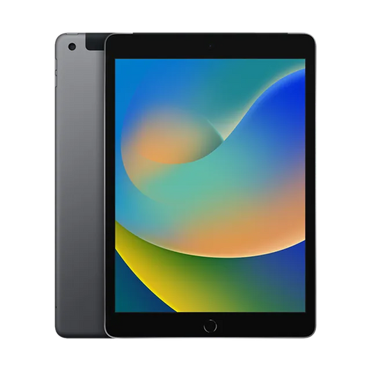 Apple iPad 9th Generation Wi-Fi (10.2 Inch, 256GB, Space Grey, 2021 model)